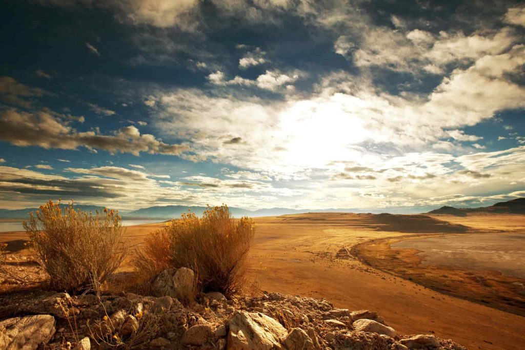 Beautiful Nature Photography examples